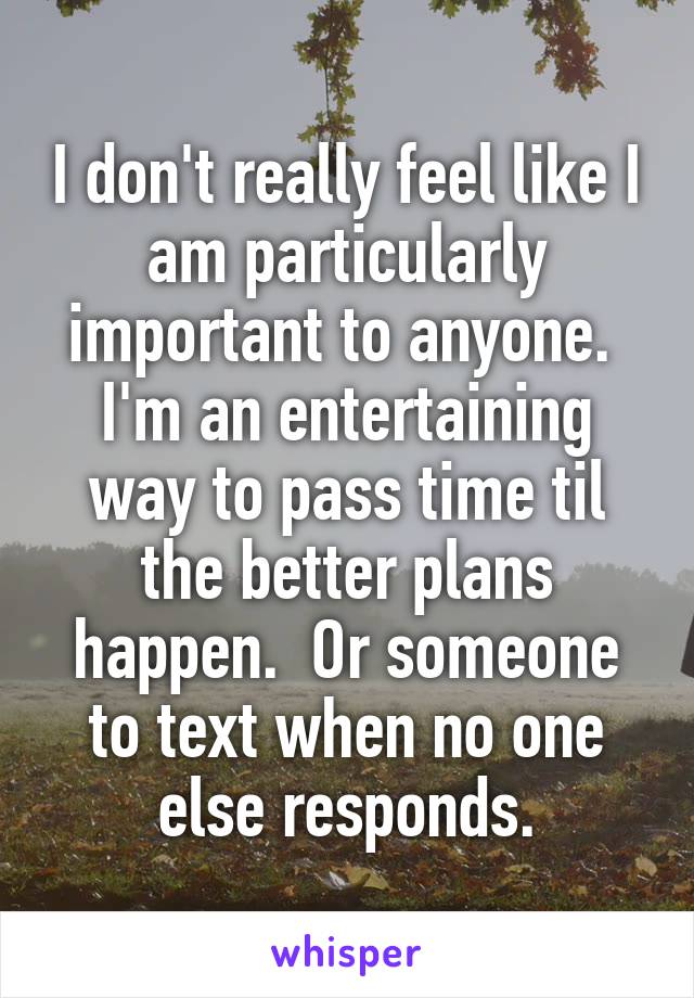 I don't really feel like I am particularly important to anyone.  I'm an entertaining way to pass time til the better plans happen.  Or someone to text when no one else responds.