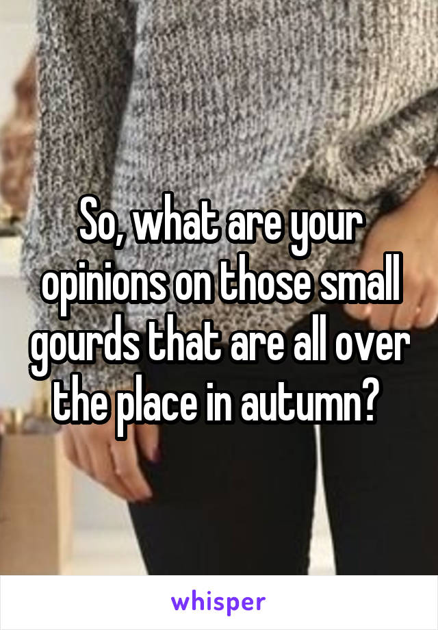 So, what are your opinions on those small gourds that are all over the place in autumn? 