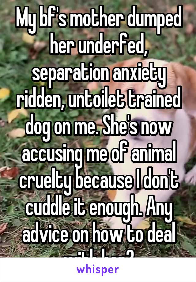 My bf's mother dumped her underfed, separation anxiety ridden, untoilet trained dog on me. She's now accusing me of animal cruelty because I don't cuddle it enough. Any advice on how to deal with her?