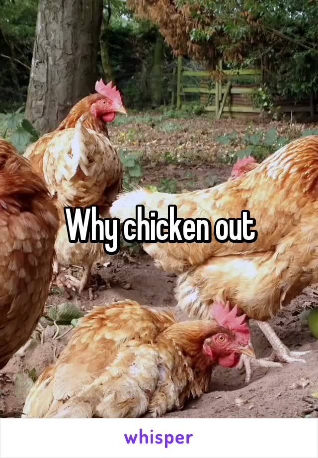 Why chicken out