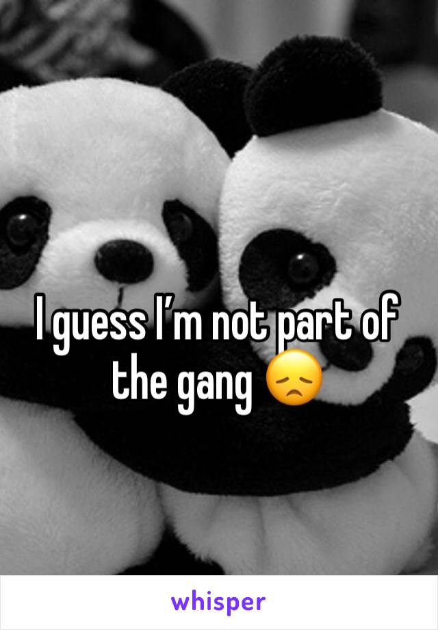 I guess I’m not part of the gang 😞