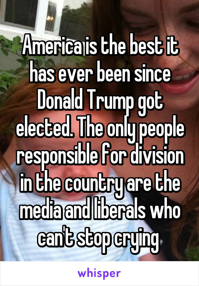 America is the best it has ever been since Donald Trump got elected. The only people responsible for division in the country are the media and liberals who can't stop crying 