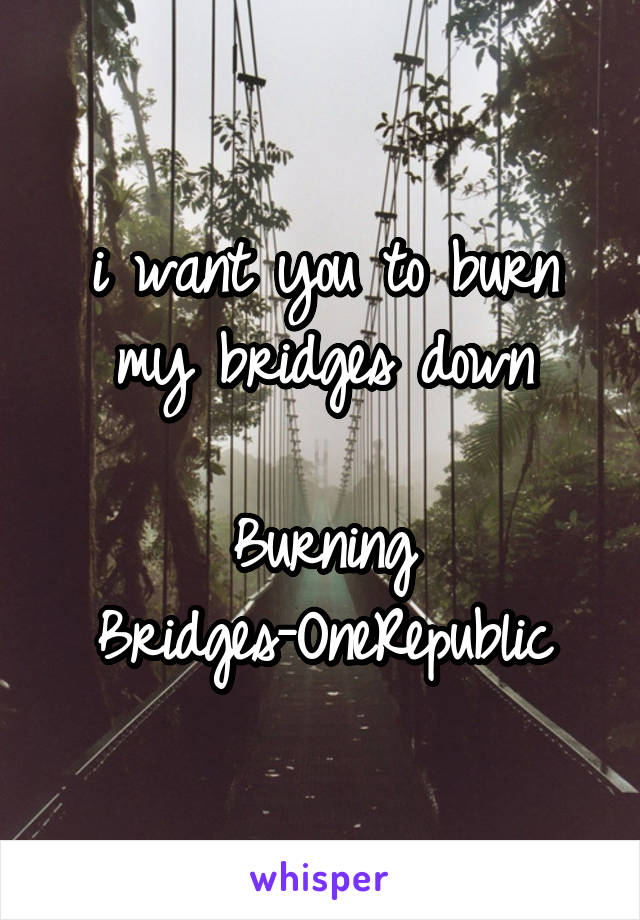 i want you to burn my bridges down

Burning Bridges-OneRepublic