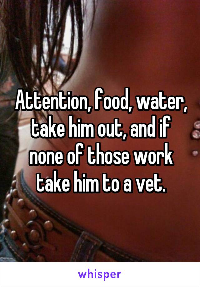 Attention, food, water, take him out, and if none of those work take him to a vet.