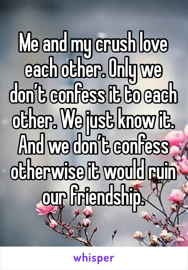 Me and my crush love each other. Only we don’t confess it to each other. We just know it. And we don’t confess otherwise it would ruin our friendship. 