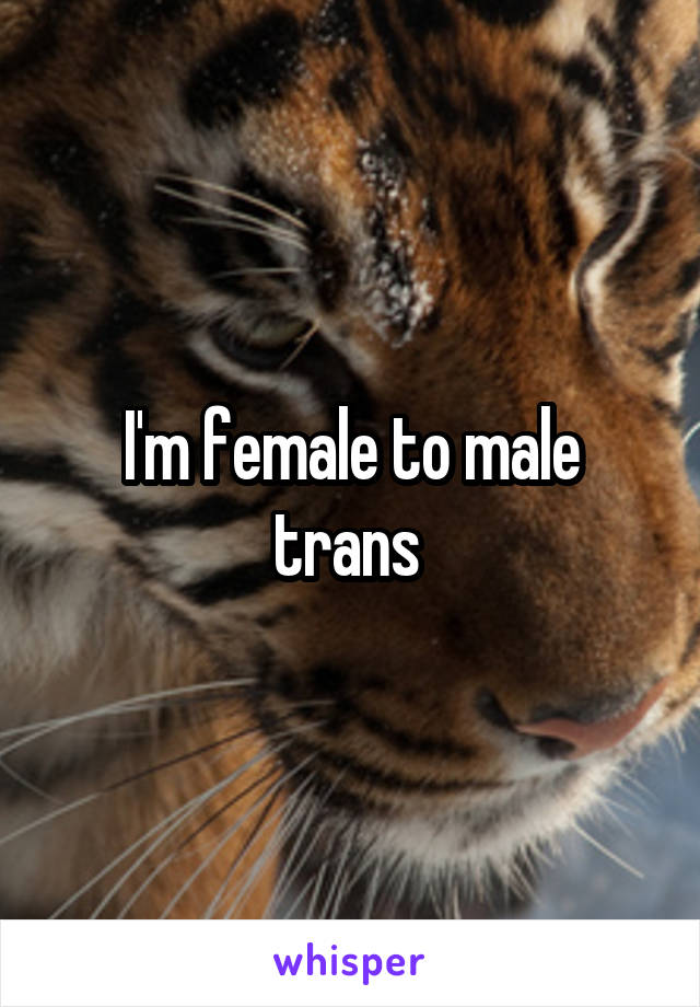 I'm female to male trans 