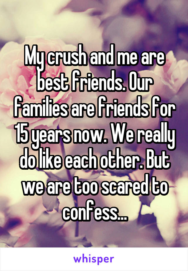 My crush and me are best friends. Our families are friends for 15 years now. We really do like each other. But we are too scared to confess...