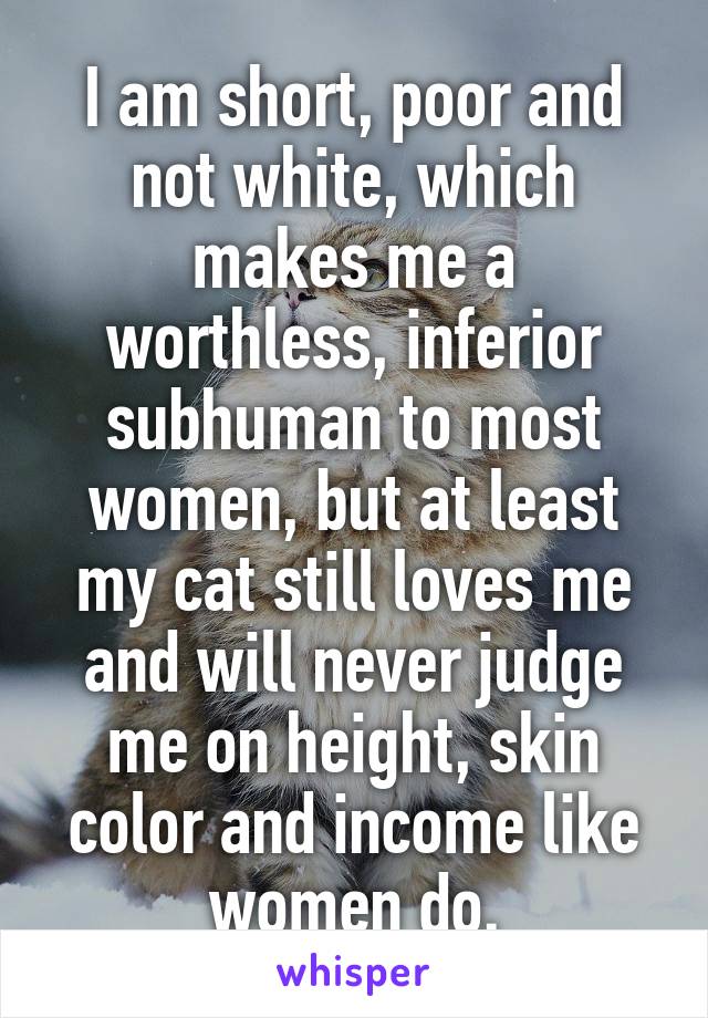 I am short, poor and not white, which makes me a worthless, inferior subhuman to most women, but at least my cat still loves me and will never judge me on height, skin color and income like women do.