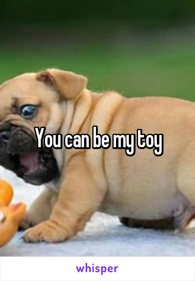 You can be my toy