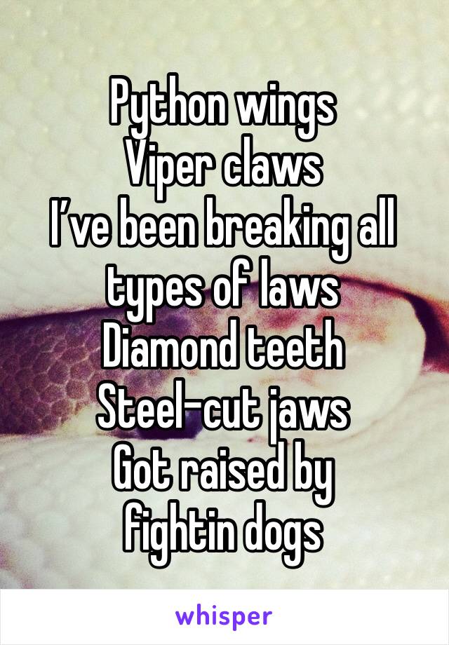 Python wings
Viper claws
I’ve been breaking all types of laws
Diamond teeth
Steel-cut jaws
Got raised by fightin dogs