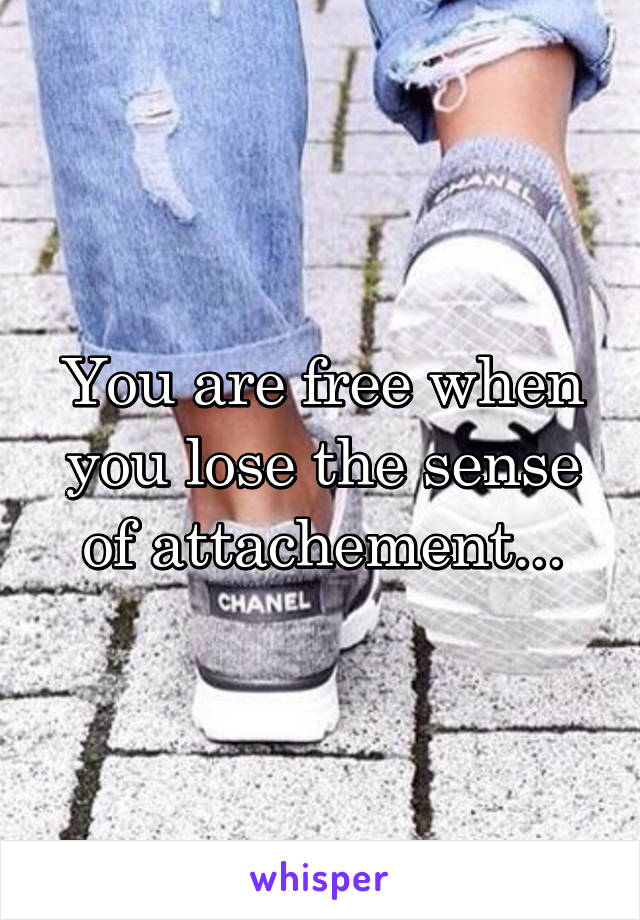 You are free when you lose the sense of attachement...