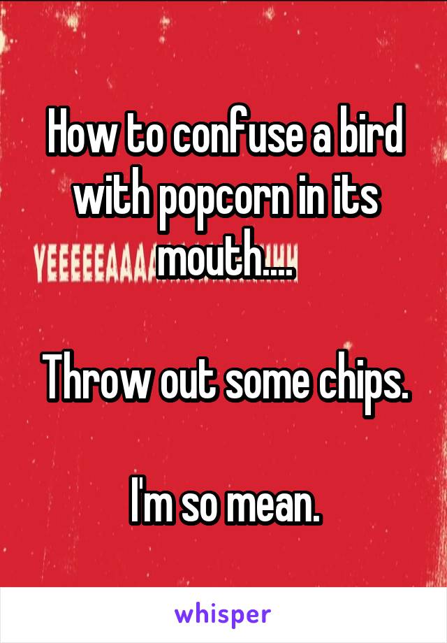 How to confuse a bird with popcorn in its mouth....

Throw out some chips.

I'm so mean.