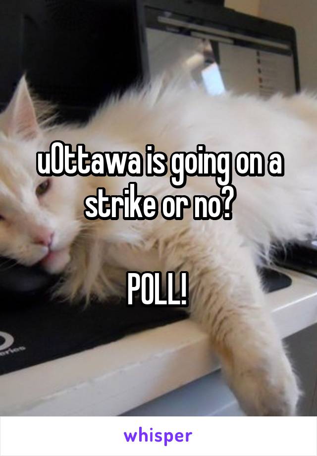 uOttawa is going on a strike or no?

POLL! 