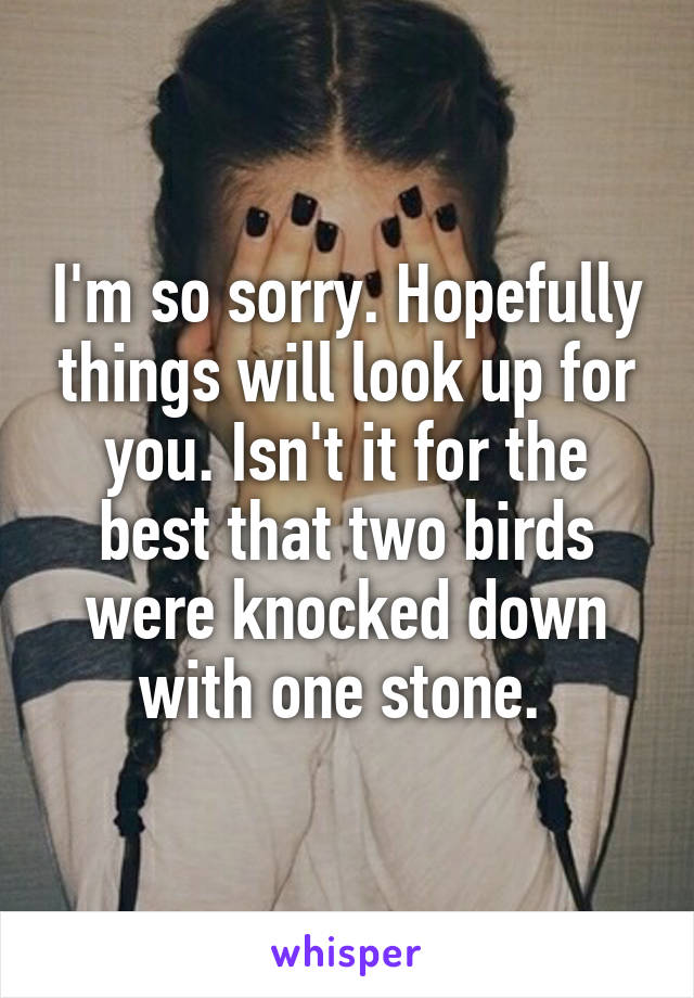 I'm so sorry. Hopefully things will look up for you. Isn't it for the best that two birds were knocked down with one stone. 