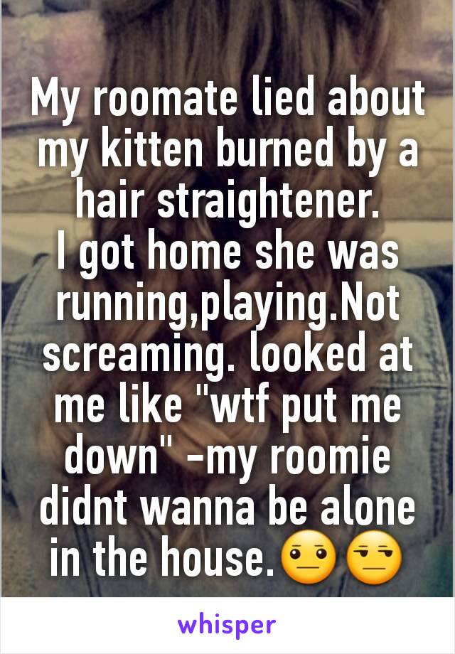 My roomate lied about my kitten burned by a hair straightener.
I got home she was running,playing.Not screaming. looked at me like "wtf put me down" -my roomie didnt wanna be alone in the house.😐😒