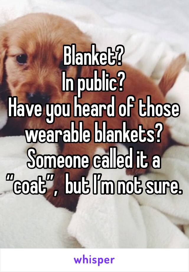 Blanket? 
In public?
Have you heard of those wearable blankets? Someone called it a “coat”,  but I’m not sure.
