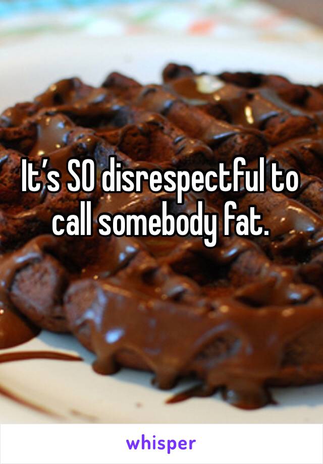 It’s SO disrespectful to call somebody fat. 