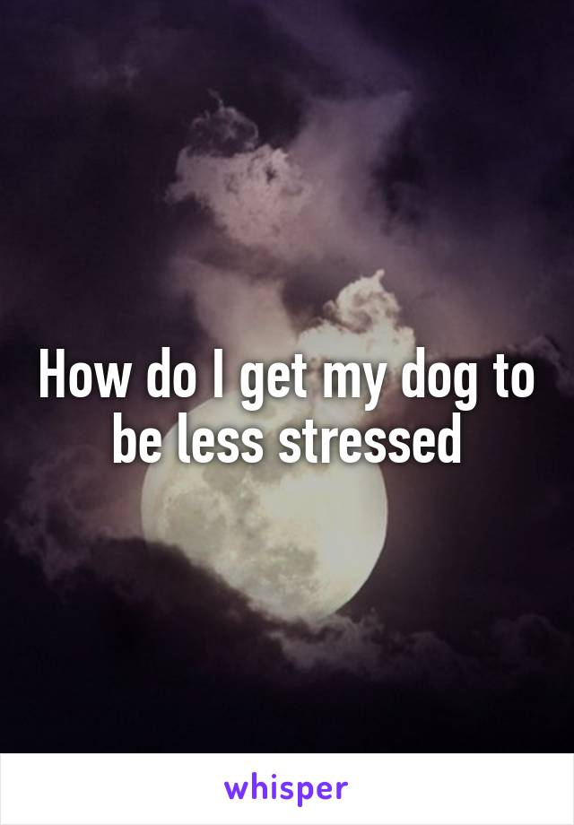 How do I get my dog to be less stressed