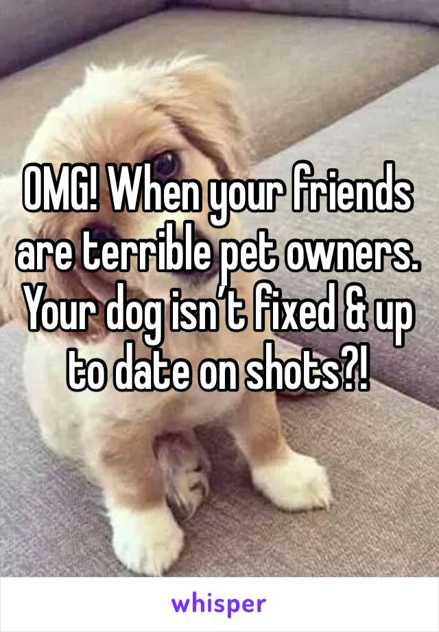 OMG! When your friends are terrible pet owners. Your dog isn’t fixed & up to date on shots?! 
