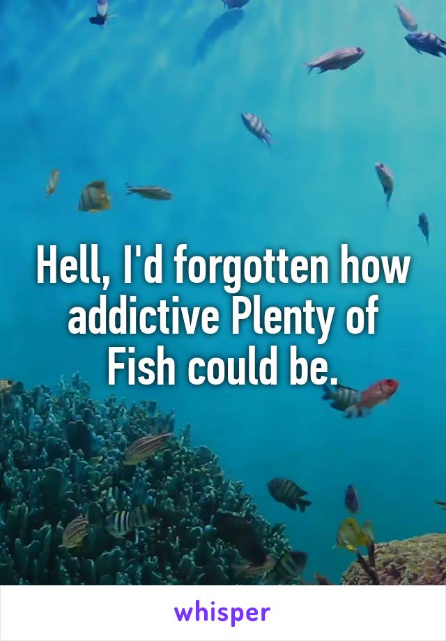 Hell, I'd forgotten how addictive Plenty of Fish could be.