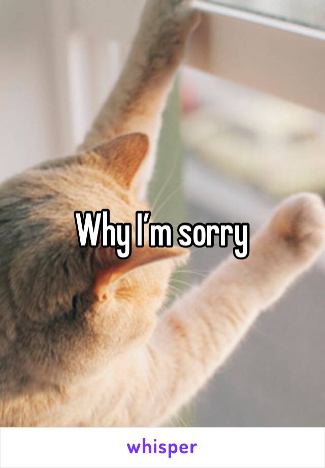 Why I’m sorry 