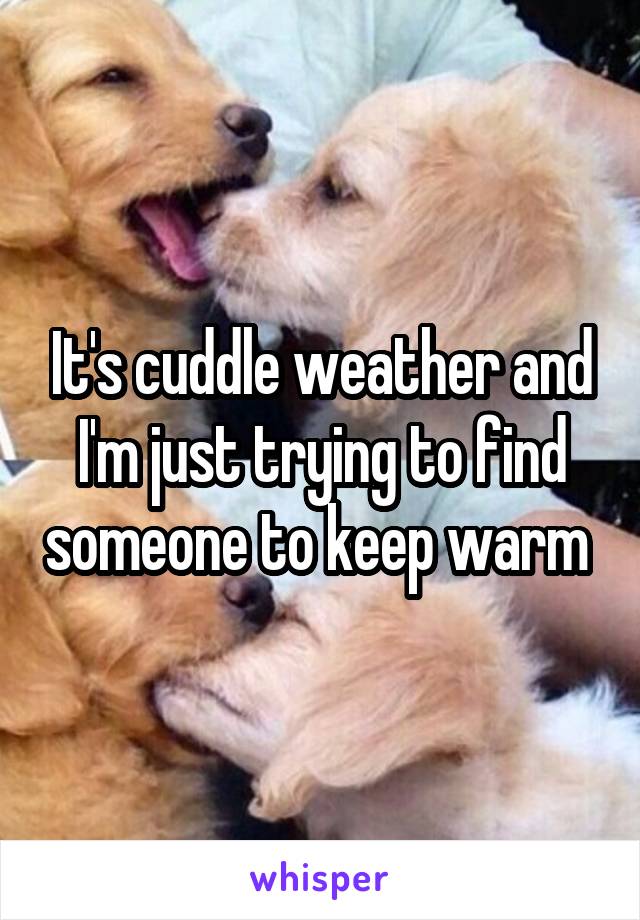 It's cuddle weather and I'm just trying to find someone to keep warm 