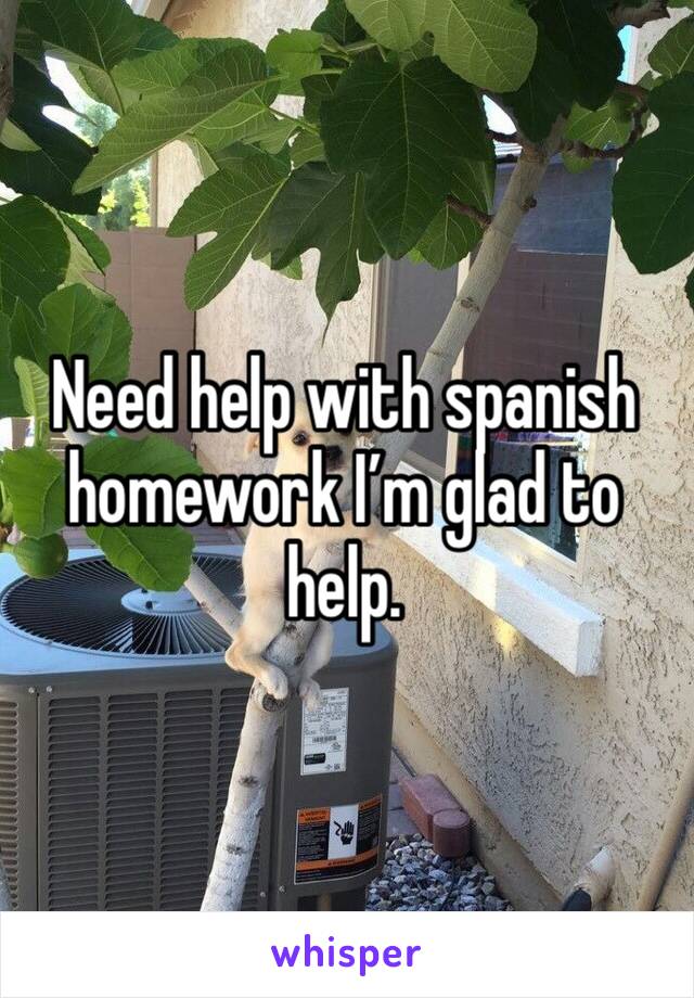 Need help with spanish homework I’m glad to help. 