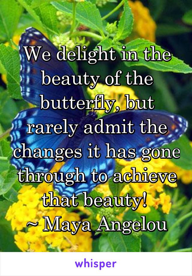 We delight in the beauty of the butterfly, but rarely admit the changes it has gone through to achieve that beauty! 
~ Maya Angelou