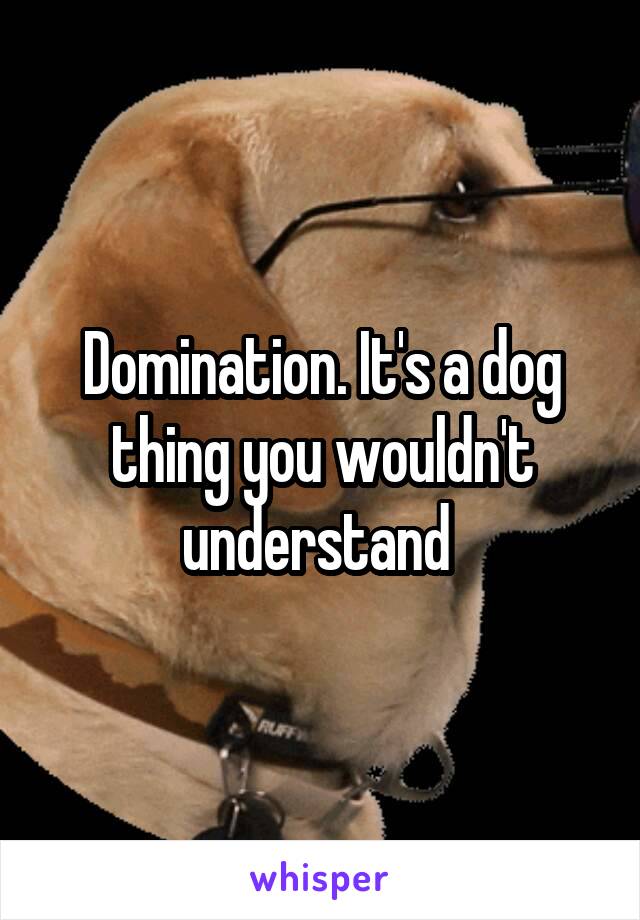 Domination. It's a dog thing you wouldn't understand 