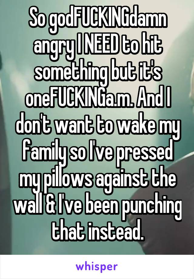 So godFUCKINGdamn angry I NEED to hit something but it's oneFUCKINGa.m. And I don't want to wake my family so I've pressed my pillows against the wall & I've been punching that instead.
