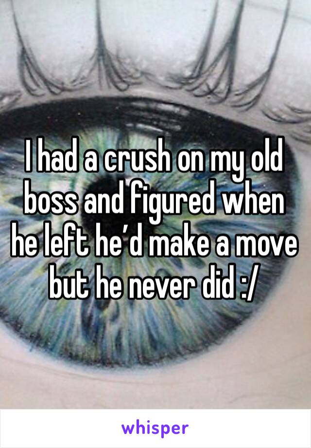 I had a crush on my old boss and figured when he left he’d make a move but he never did :/