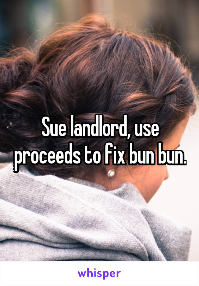 Sue landlord, use proceeds to fix bun bun.