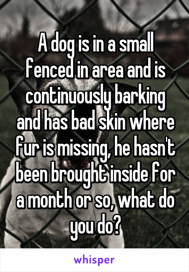 A dog is in a small fenced in area and is continuously barking and has bad skin where fur is missing, he hasn't been brought inside for a month or so, what do you do?