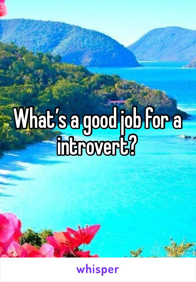 What’s a good job for a introvert? 