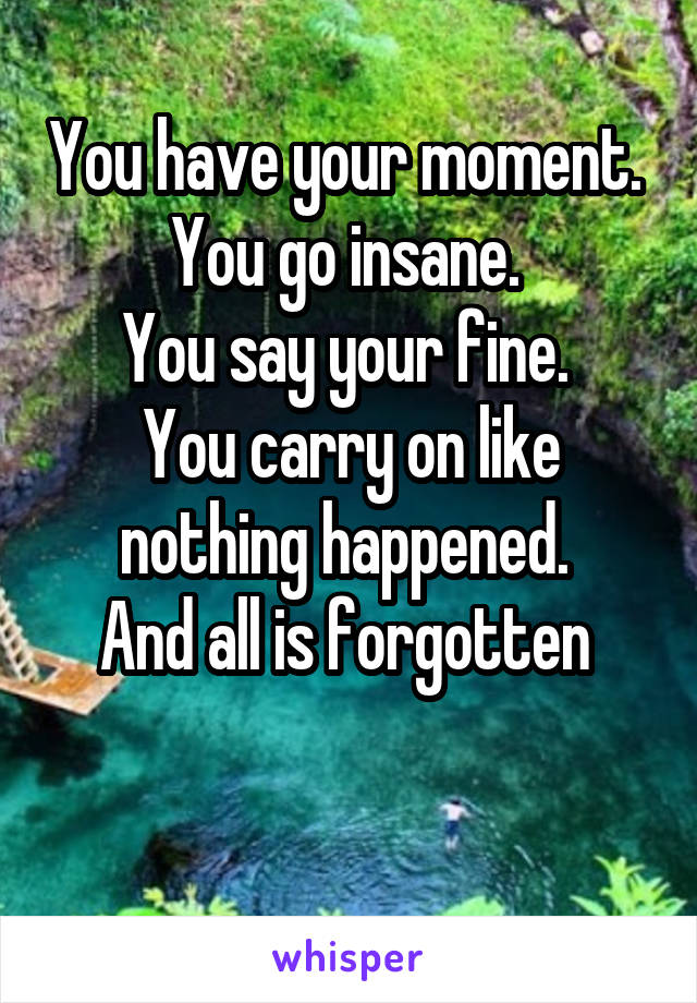 You have your moment. 
You go insane. 
You say your fine. 
You carry on like nothing happened. 
And all is forgotten 

