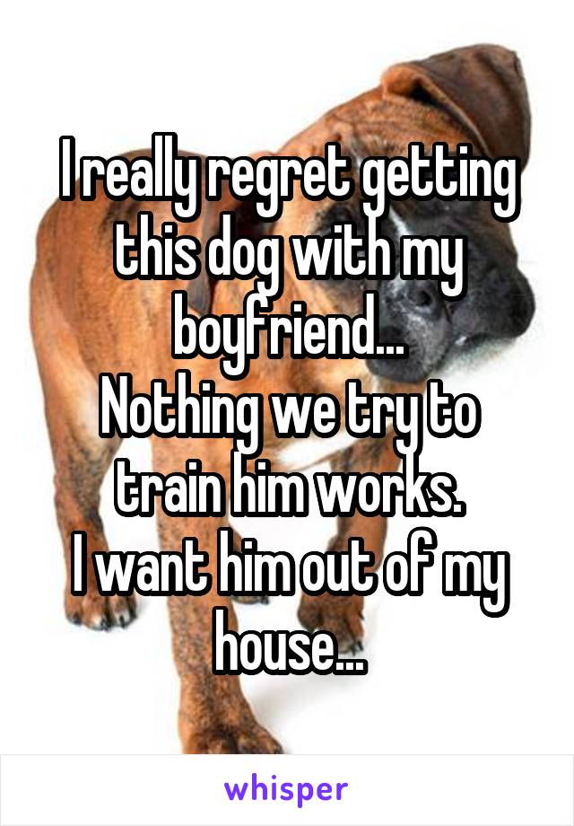 I really regret getting this dog with my boyfriend...
Nothing we try to train him works.
I want him out of my house...
