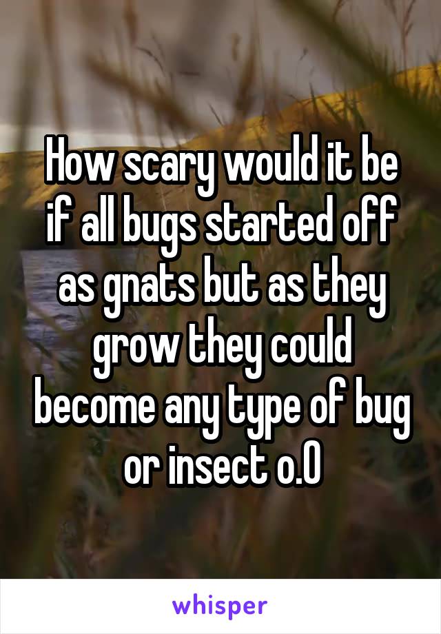 How scary would it be if all bugs started off as gnats but as they grow they could become any type of bug or insect o.O