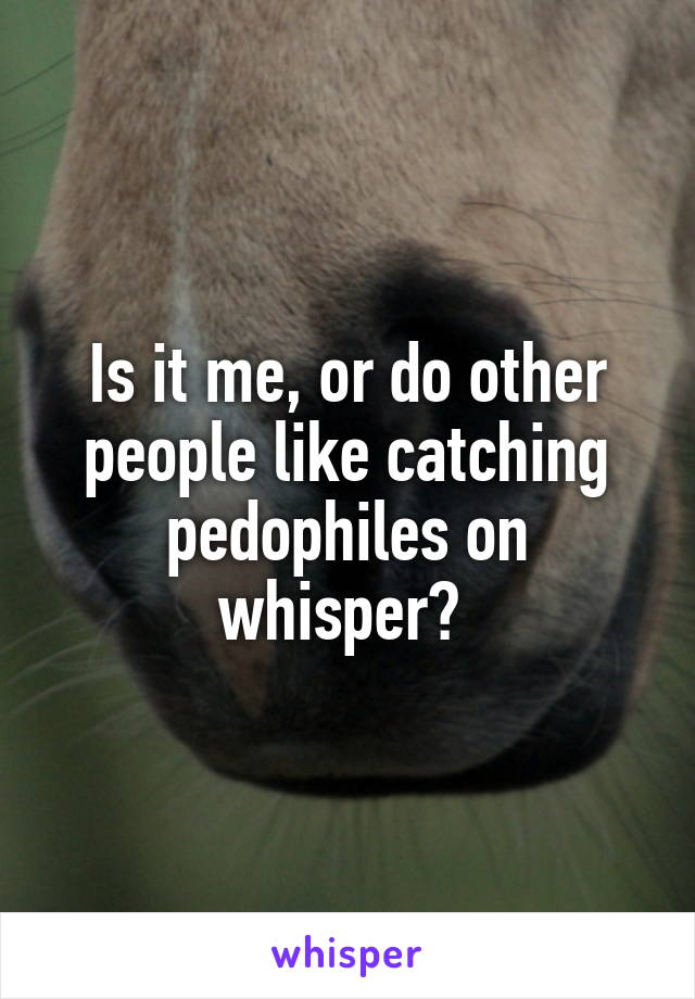 Is it me, or do other people like catching pedophiles on whisper? 
