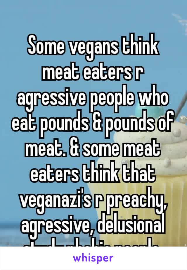 Some vegans think meat eaters r agressive people who eat pounds & pounds of meat. & some meat eaters think that veganazi's r preachy, agressive, delusional​ study phobic people.