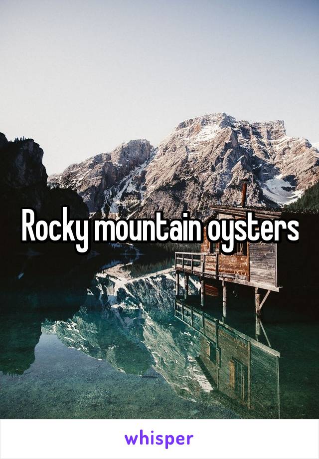 Rocky mountain oysters