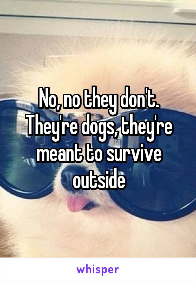 No, no they don't. They're dogs, they're meant to survive outside