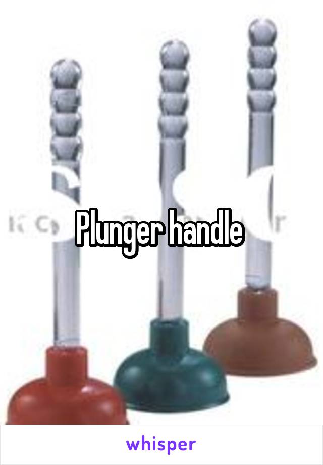 Plunger handle 