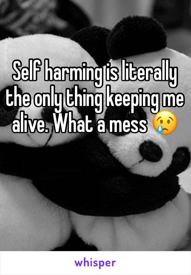 Self harming is literally the only thing keeping me alive. What a mess ðŸ˜¢