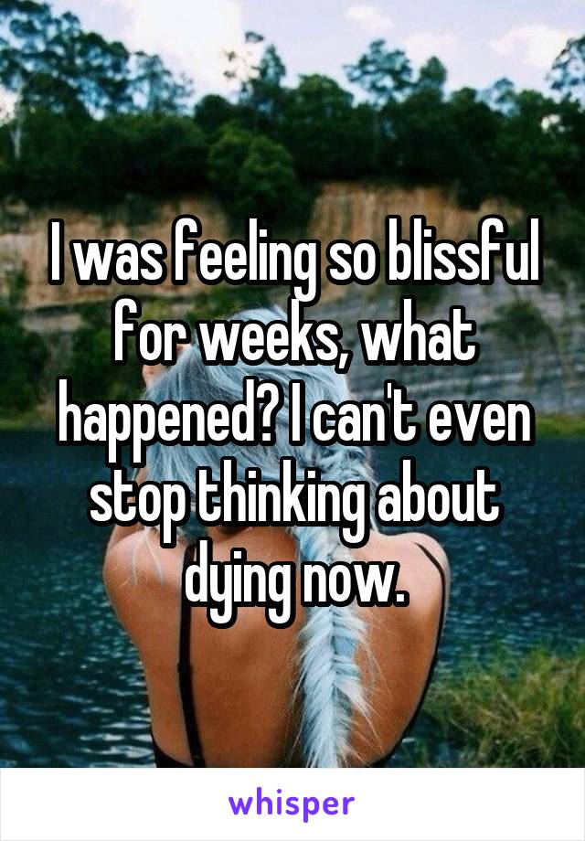 I was feeling so blissful for weeks, what happened? I can't even stop thinking about dying now.