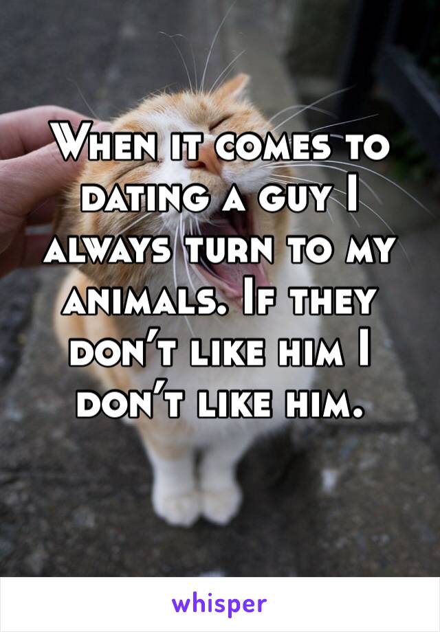 When it comes to dating a guy I always turn to my animals. If they don’t like him I don’t like him. 