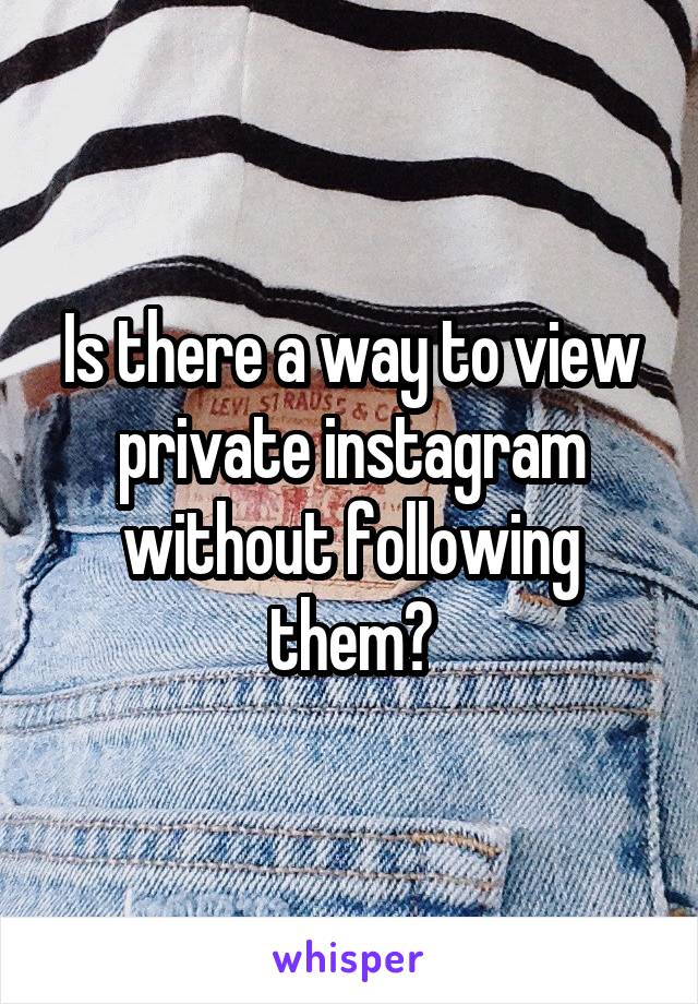 Is there a way to view private instagram without following them?