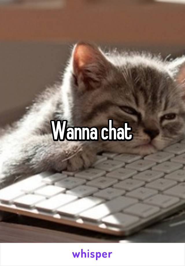 Wanna chat 