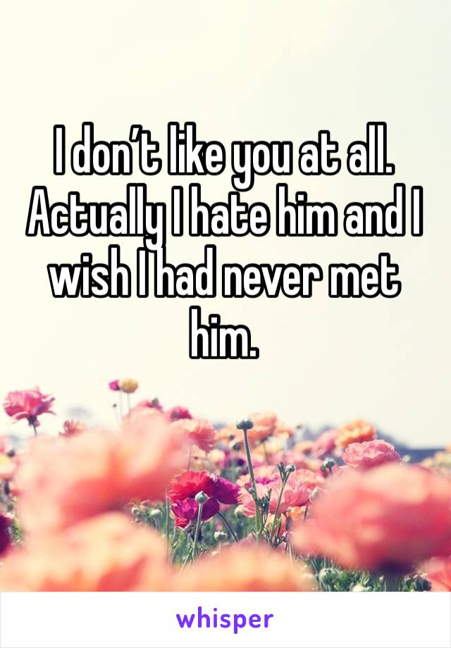 I don’t like you at all. Actually I hate him and I wish I had never met him. 