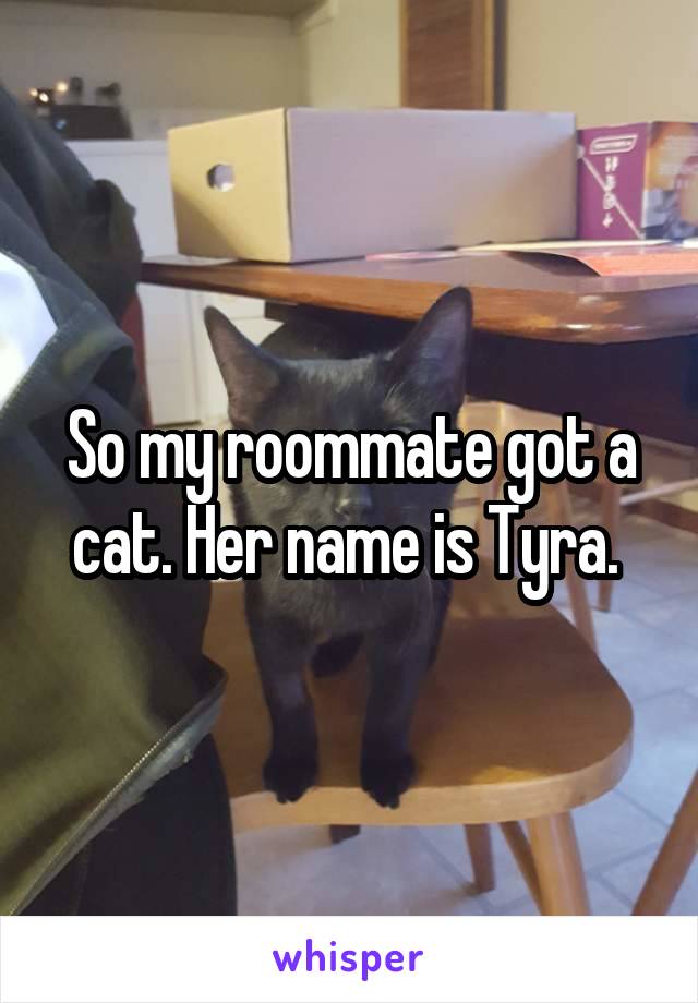 So my roommate got a cat. Her name is Tyra. 