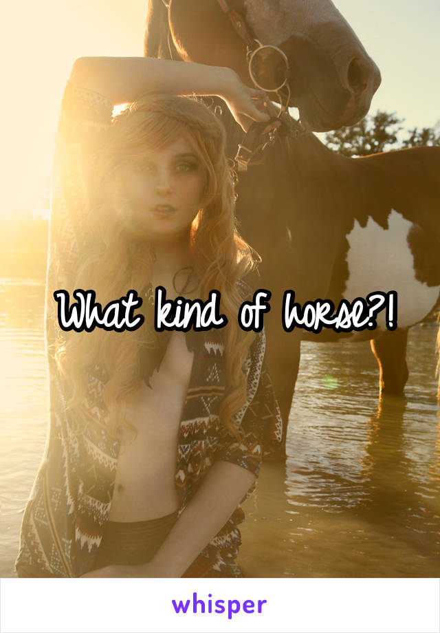 What kind of horse?!